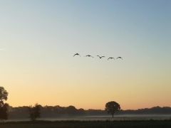 Vennengebied (bedankt Hilde Nuyens)