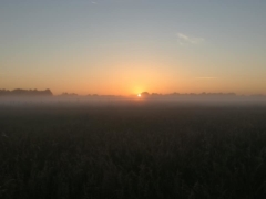 Vennengebied (bedankt Hilde Nuyens)